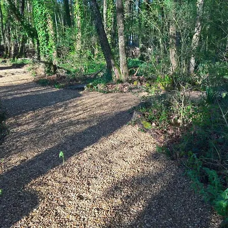 Villa Luxe In With Bbq Garden Les Forges (Deux-Sevres)